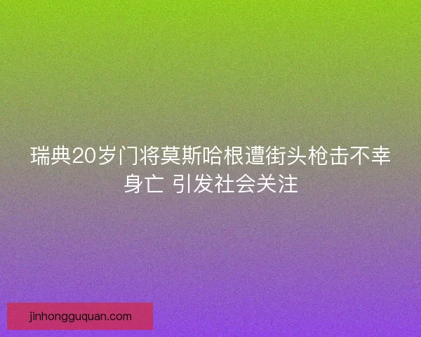 瑞典20岁门将莫斯哈根遭街头枪击不幸身亡 引发社会关注